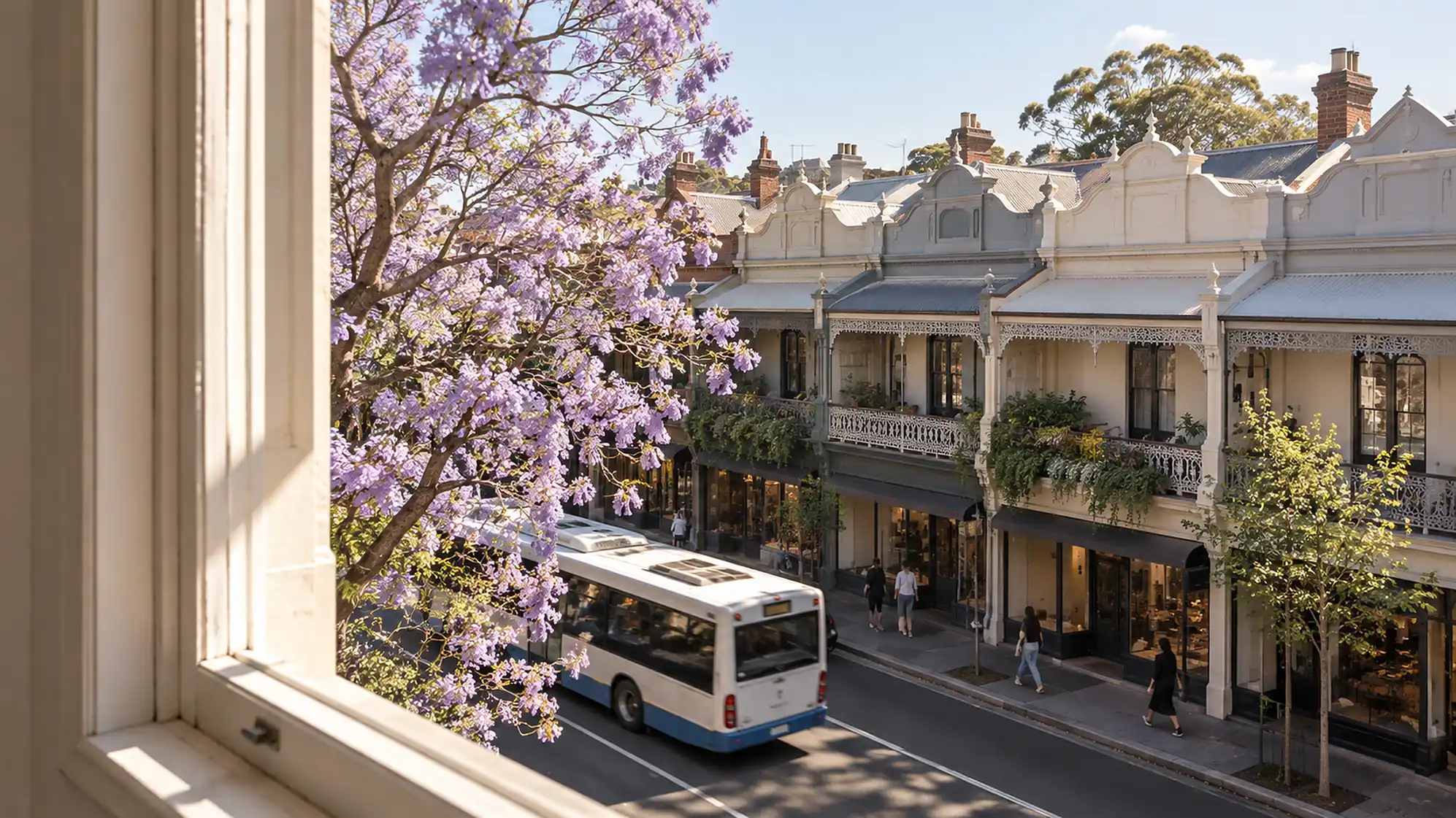 View from a first-floor window over King Street, Newtown, with a flowering jacaranda.