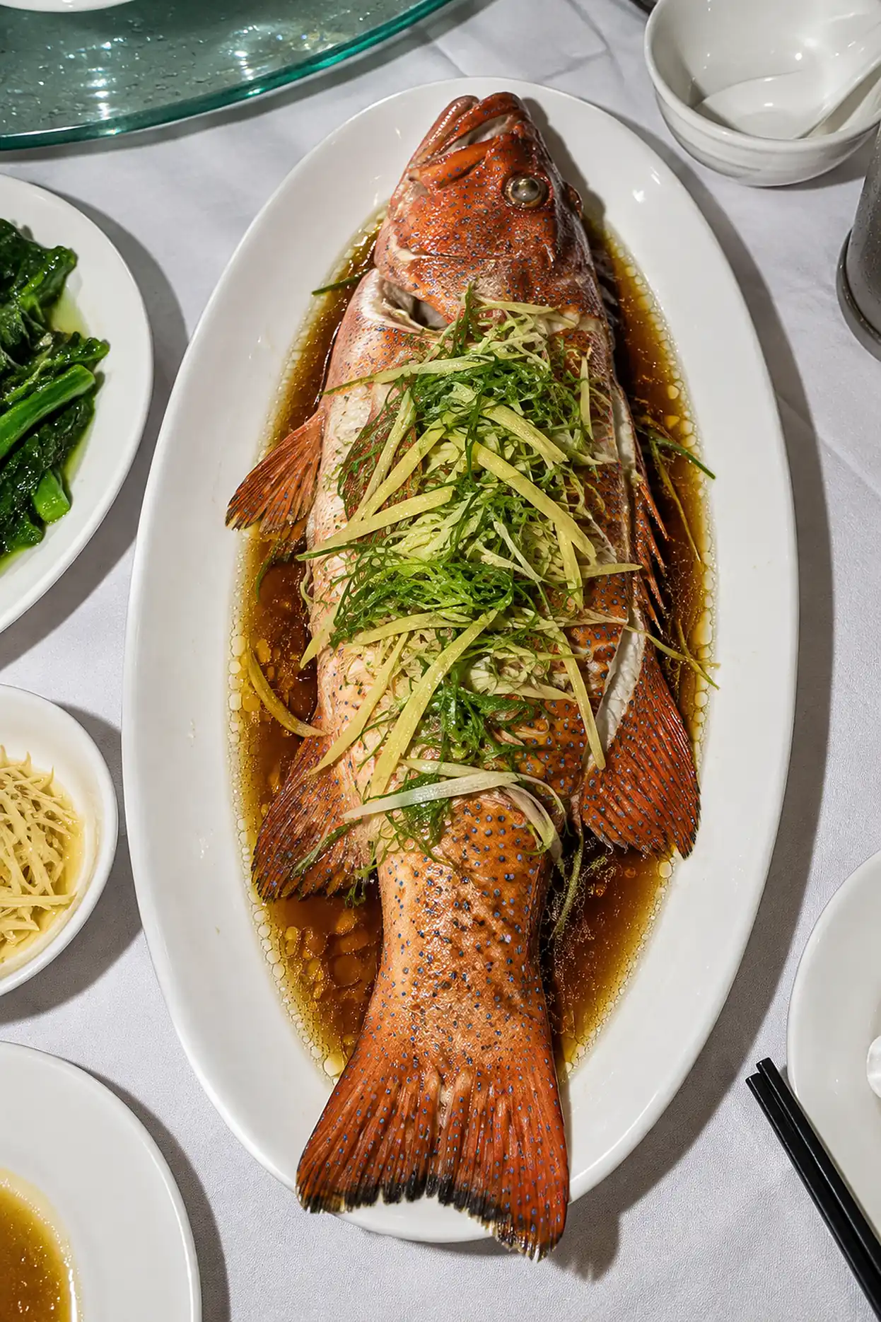 A whole steamed coral trout on a long plate, photographed from above, cropped as a tall strip.